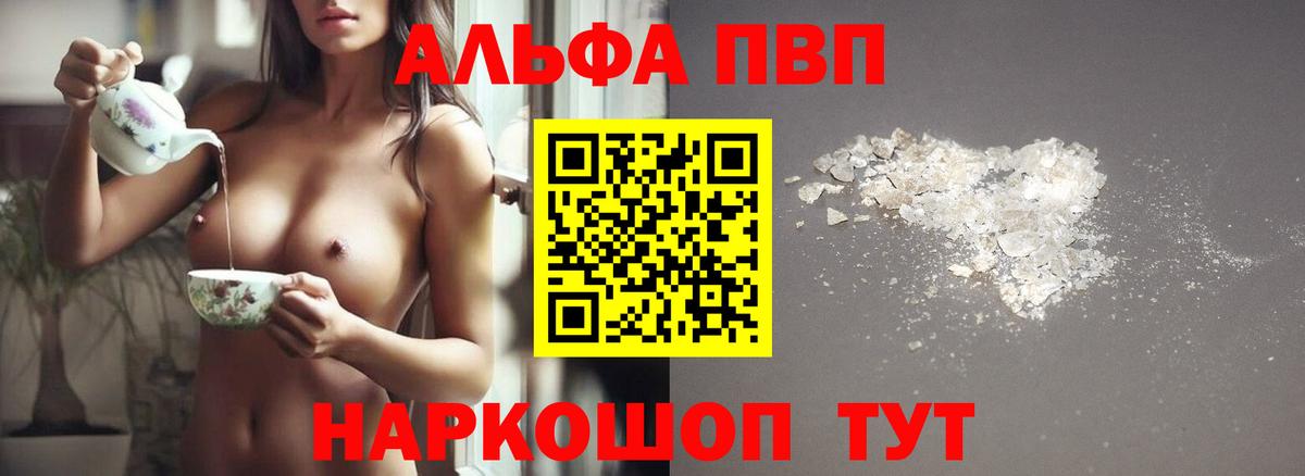 Альфа ПВП СК Новотроицк