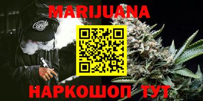 гашик Тверь