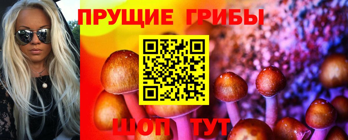Новотроицк  Псилоцибиновые грибы Magic Shrooms  Вход с VPN 